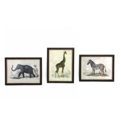 Elevate your decor with these charming safari-inspired prints.