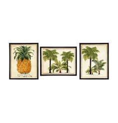 add a tropical theme to your home deco with these cute frames