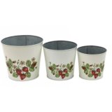 Plant to your hearts content with our beautiful set of 3 strawberry fields planters.