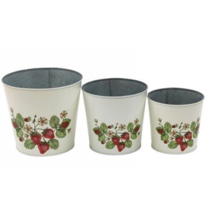 Set of 3 Strawberry Planters, 18cm
