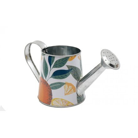  Citrus Watering Can, 21.5cm 