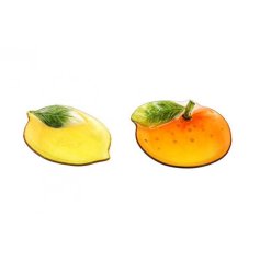 Experience the sweet taste of citrus on our Lemon & Orange Glass Plate.