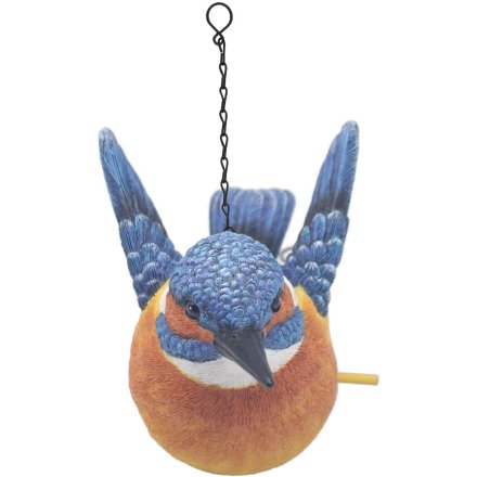 Kingfisher Hanging Bird House