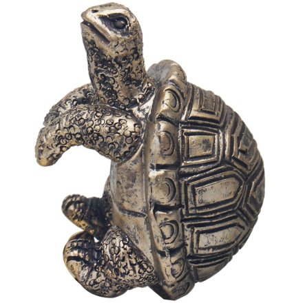 Plant Pot Pals Tortoise