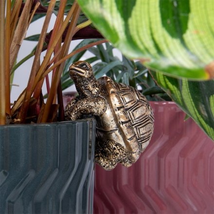 Add some charm to your plant collection with our newest addition 
