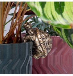 Add some charm to your plant collection with our newest addition 