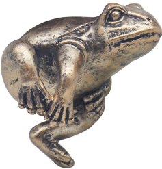 Add a pop of whimsy to your home or garden with the charming Plant Pot Frog 