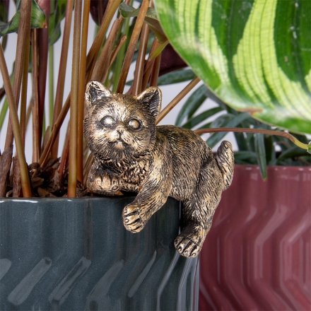 Plant Pots Pals Cat