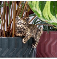 Add some feline charm to your green space with Plant Pots Pals Cat - the cutest plant pot buddy around!