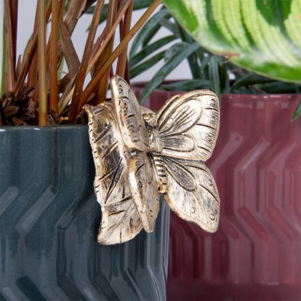 add some character to you plant pots with this cute butterfly pot pal 