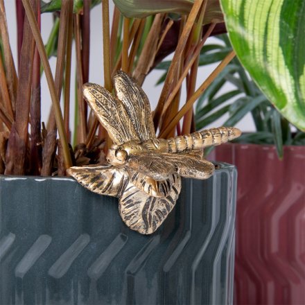 Watch your plants come to life with the adorable and vivid Plant Pot Pals Dragonfly - the perfect little friend for 