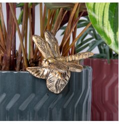 Watch your plants come to life with the adorable and vivid Plant Pot Pals Dragonfly - the perfect little friend for 