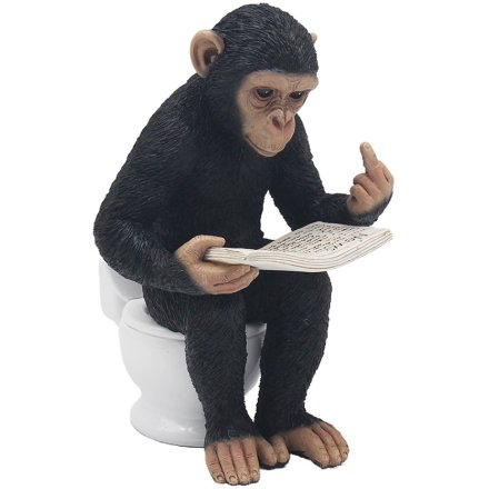 Cheeky Monkey Reading A book