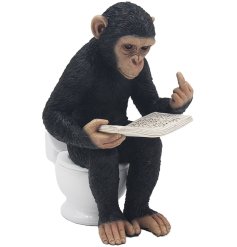 Meet our playful and clever Black Polyresin Cheeky Monkey Reading A Book 