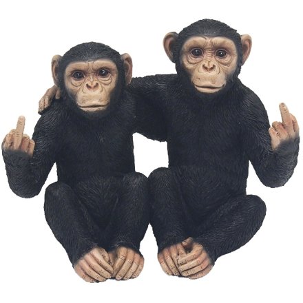 Twin Cheeky Monkeys with Hand gesture