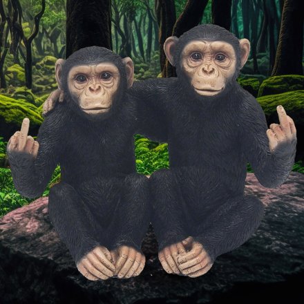 Experience twice the charm with our Twin Cheeky Monkeys figurine - the perfect addition to any collection!