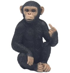 Add some sass to your garden with the Cheeky Monkey With Middle Finger Gesture 