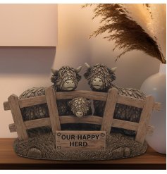 Bring some Scottish charm to your surroundings with our delightful Highland Cows from Our Happy Herd.
