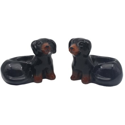 Pair of Dachshund Egg Cups