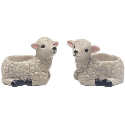 Pair of Sheep-Shaped Egg Cups