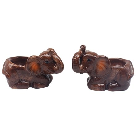 Elephant Egg Cups Set of 
