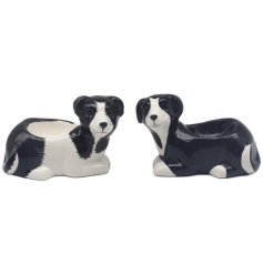 Add a touch of whimsy to your morning routine with our charming Collie Egg Cups 