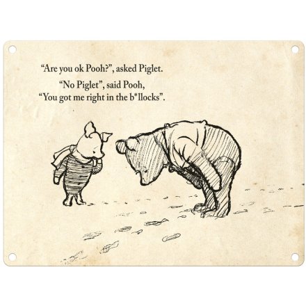 Fridge Magnet Winnie The Pooh B*llocks