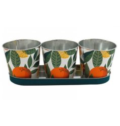 Brighten up any windowsill with this citrus planter set.