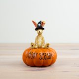 Spook up your home with our Witch Rabbit On Pumpkin! 