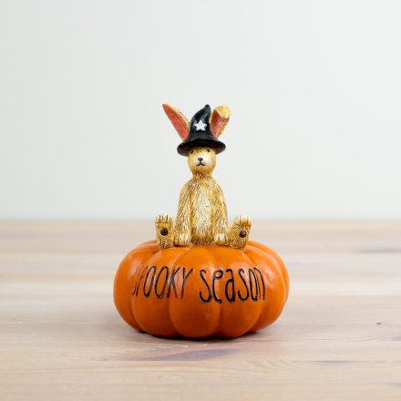 Witch Rabbit on Pumpkin, 13.5cm 