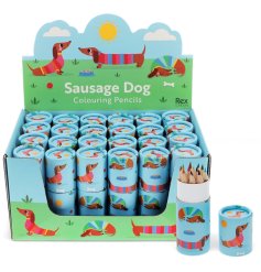 Color your world with our playful sausage dog illustrated set of pencils!