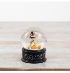 a spooky rabbit water globe