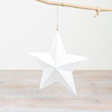 Add a touch of sophistication to your holiday decor with our Hanging Iron Star.