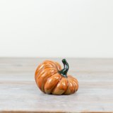 Get all cozy this autumn with our stylish pumkin deco 