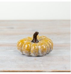add some auntumal charm with this stylish pumpkin 