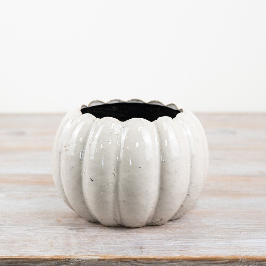 White Pumpkin Planter, 16cm