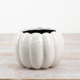 Ceramic Pumpkin Planter, 14cm 