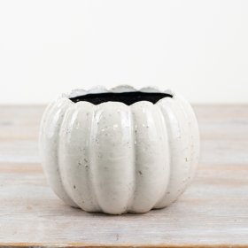 14cm Pumpkin Planter