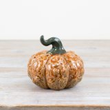Fall into the season with our stunning Textured Pumpkin, a charming addition to your home decor and Halloween 