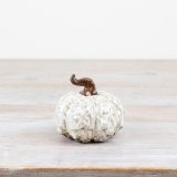 Get ready to add some whimsy to your Halloween decor with our charming Wonky Pumpkin! 