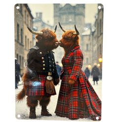 2 highland cows kissing in the show metal sign 