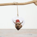 Highland Cow Heart Hanger, 8cm 