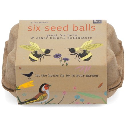 A box of 6 seeds balls  which contain a mixture of seeds and compost