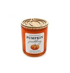 Embrace the cozy and rustic feel of autumn with our charming Pumpkin Candlepot Wild. 