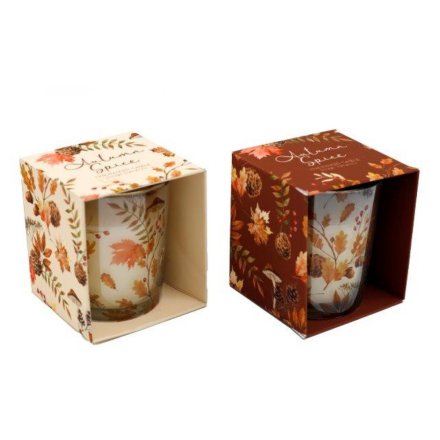 2/A Autumn Boxed Candles, 7.5cm 