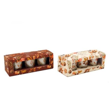 2/A Autumn Votives Set of 3, 16.8cm 