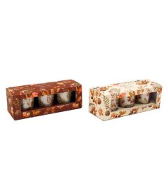 Light up your autumn with our S/3 Votives In Box collection - the perfect blend of warmth, elegance, and coziness for