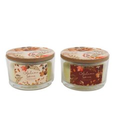 2/A Autumn Spice Candle/ Lid, 13cm 