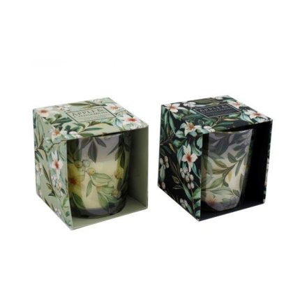 7.5cm Sage Green Wax Candles, 2/a 