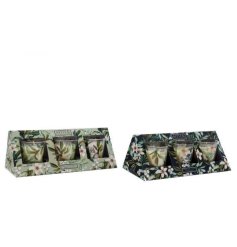 S/3 Xmas Sage Candles 